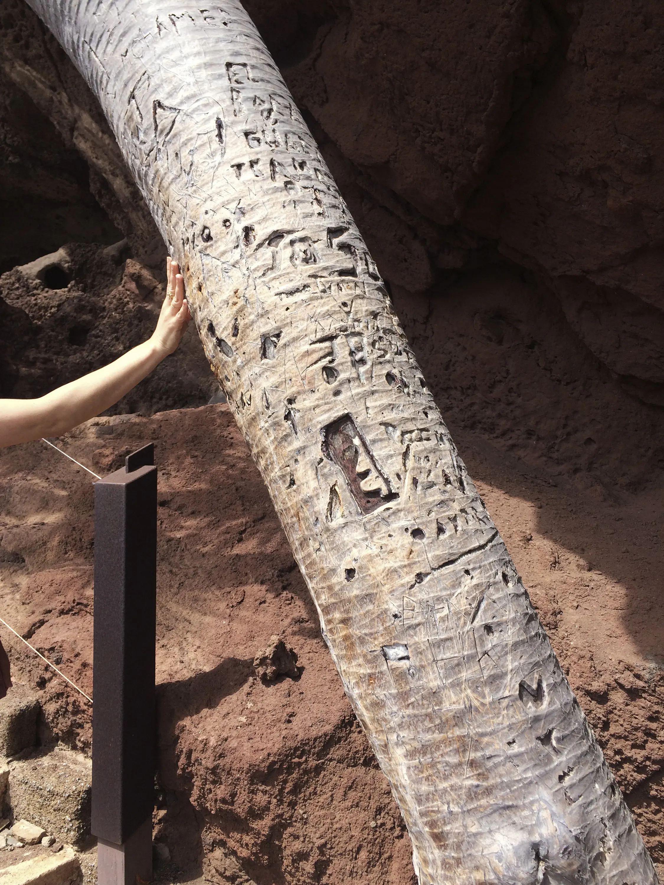 Emma, Las Palmas de Gran Canaria, 2019 — 2020