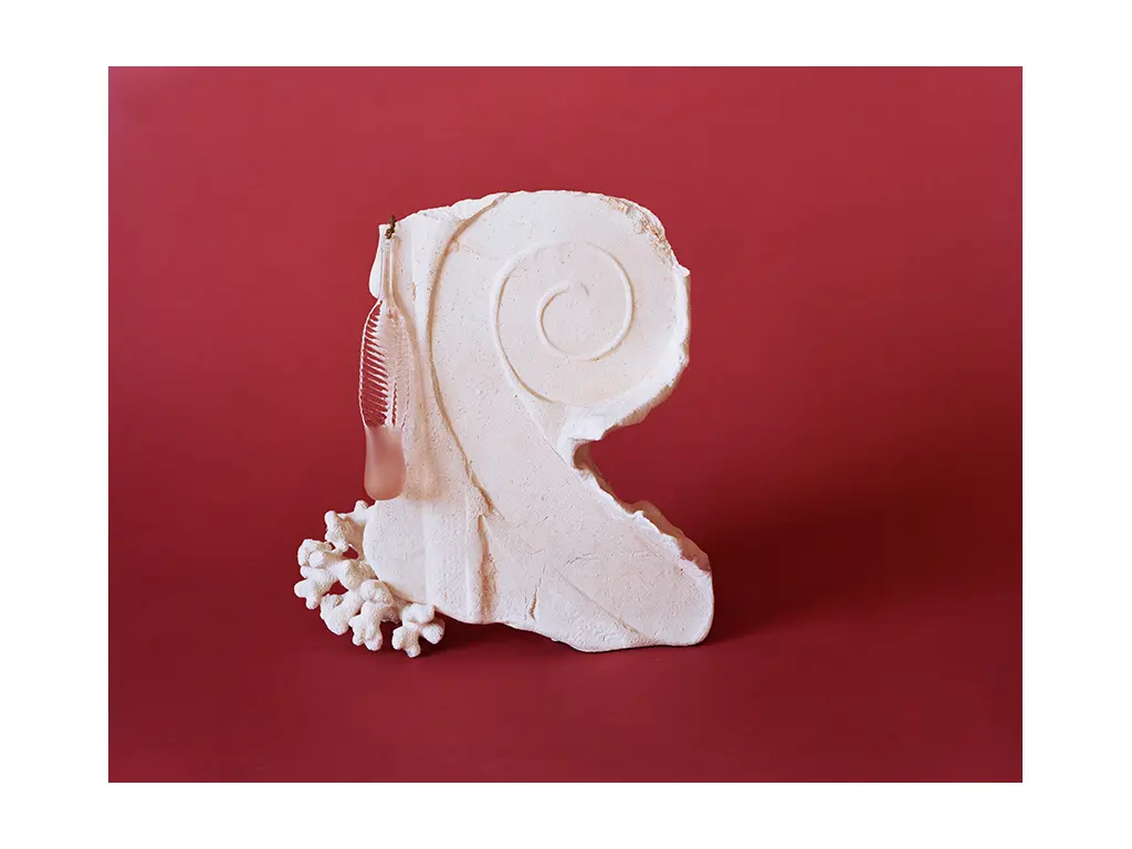 Volute, 2019