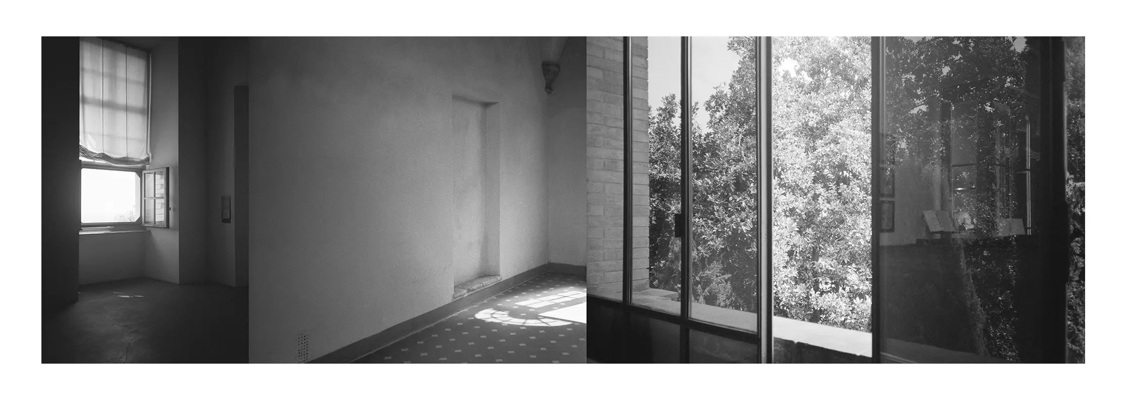 Castello di Rivoli, Torino, 2018-2019 + Via Fondazza 36, Bologna, 2018-2019 + Collezione delle cere anatomiche (finestre), Bologna, 2018-2019