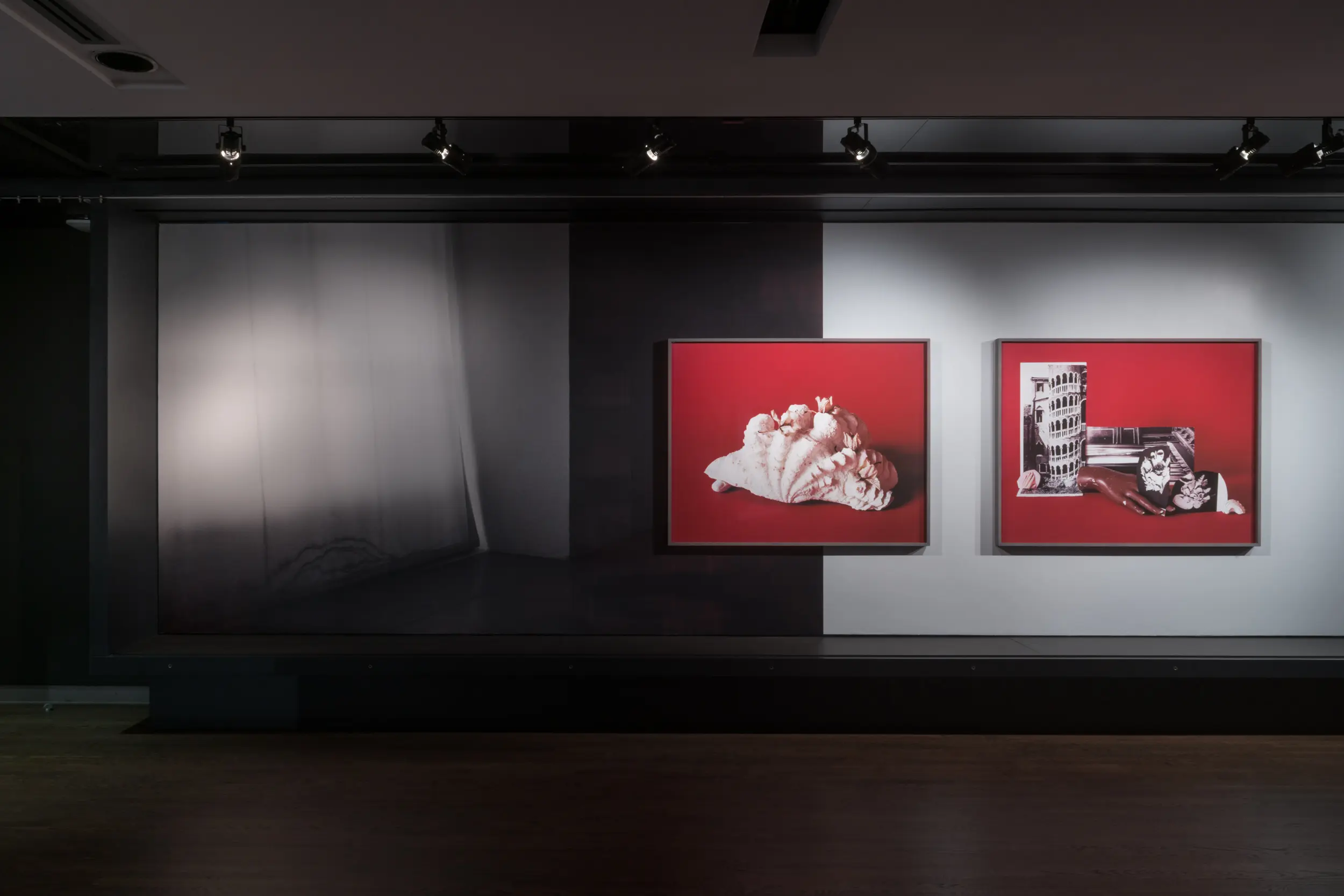 L'archiviste, 2019. Vue de l'exposition au Musée McCord Stewart dans le cadre de MOMENTA Biennale, Montréal, automne 2019 — hiver 2020 / exhibition view at McCord Stewart Museum in the context of MOMENTA Biennale, Montréal, autumn 2019 — winter 2020. Documentation: Clara Lacasse
