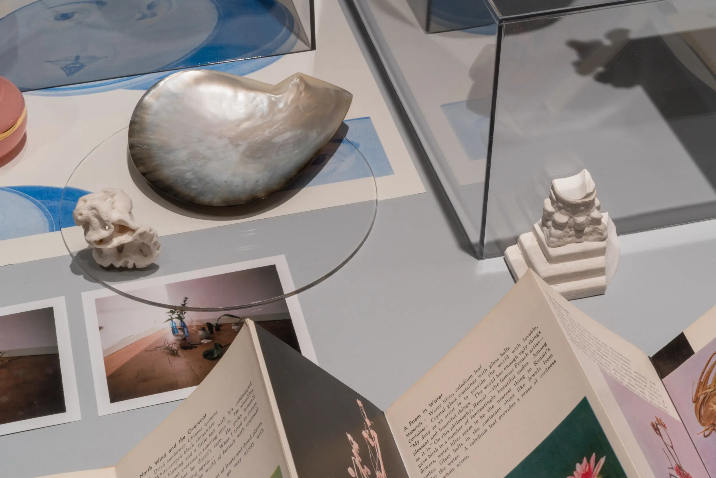 L'archiviste, 2019. Vue de l'exposition au Musée McCord Stewart dans le cadre de MOMENTA Biennale, Montréal, automne 2019 — hiver 2020 / exhibition view at McCord Stewart Museum in the context of MOMENTA Biennale, Montréal, autumn 2019 — winter 2020. Documentation: Clara Lacasse