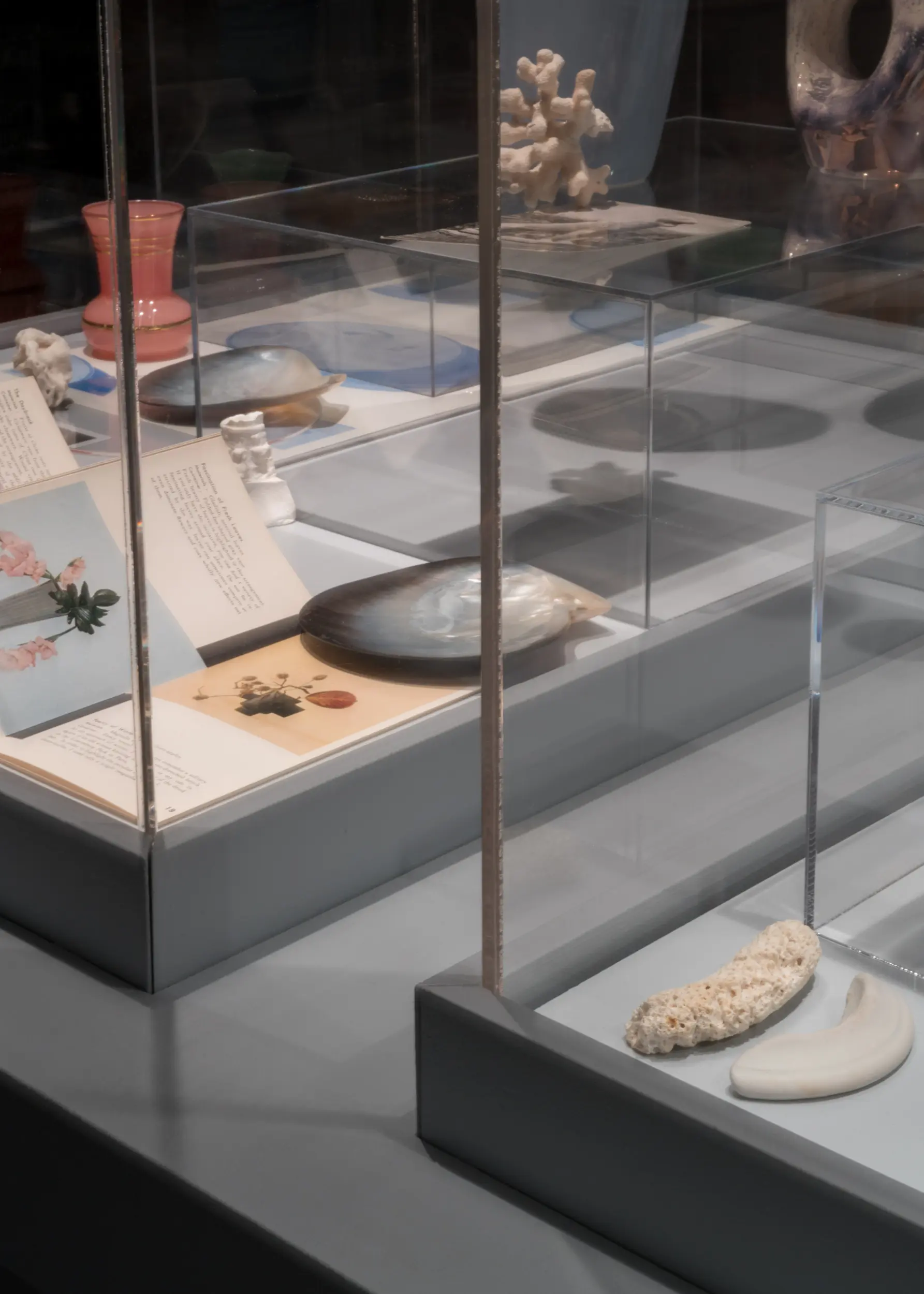 L'archiviste, 2019. Vue de l'exposition au Musée McCord Stewart dans le cadre de MOMENTA Biennale, Montréal, automne 2019 — hiver 2020 / exhibition view at McCord Stewart Museum in the context of MOMENTA Biennale, Montréal, autumn 2019 — winter 2020. Documentation: Clara Lacasse