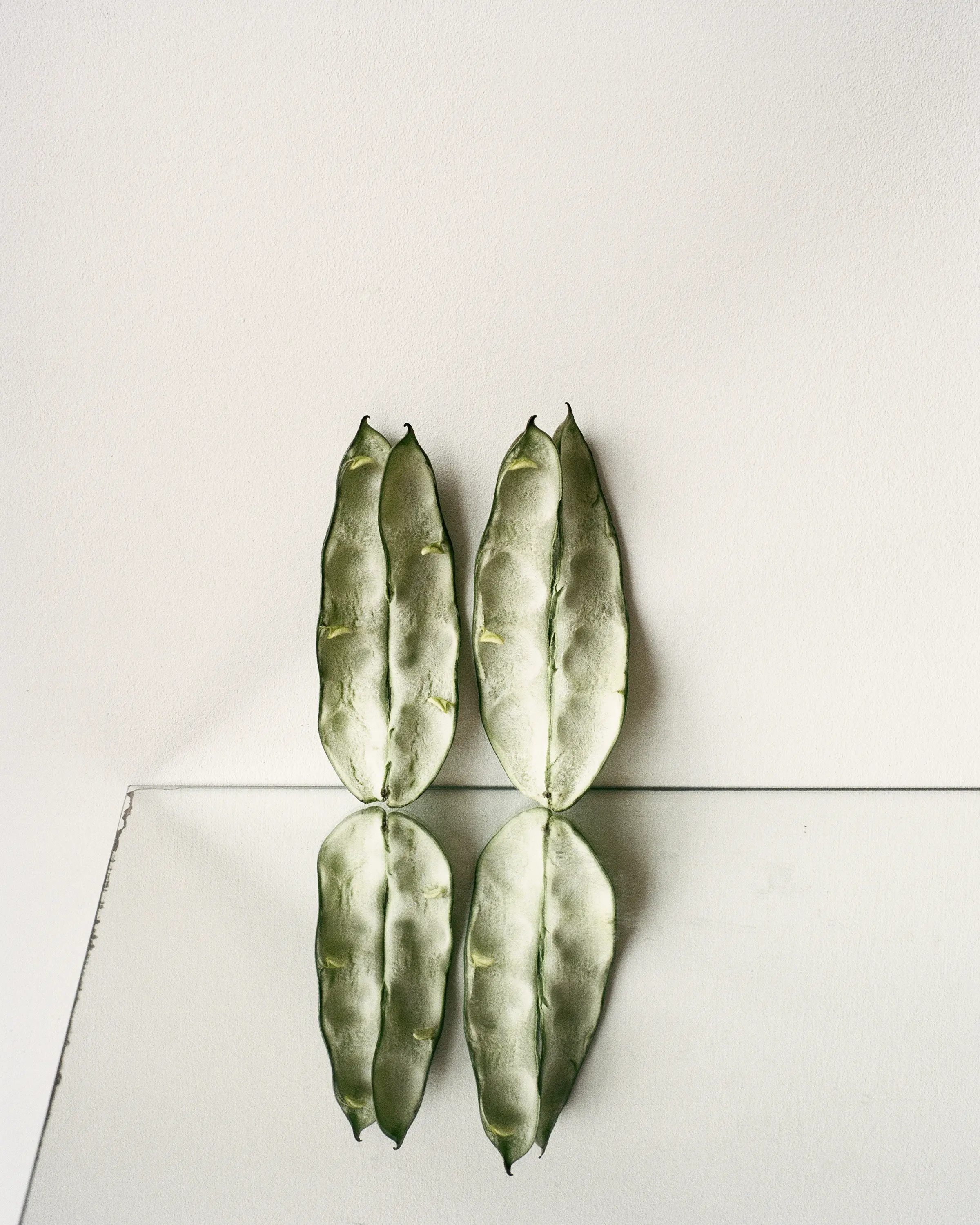 Fava, 2023