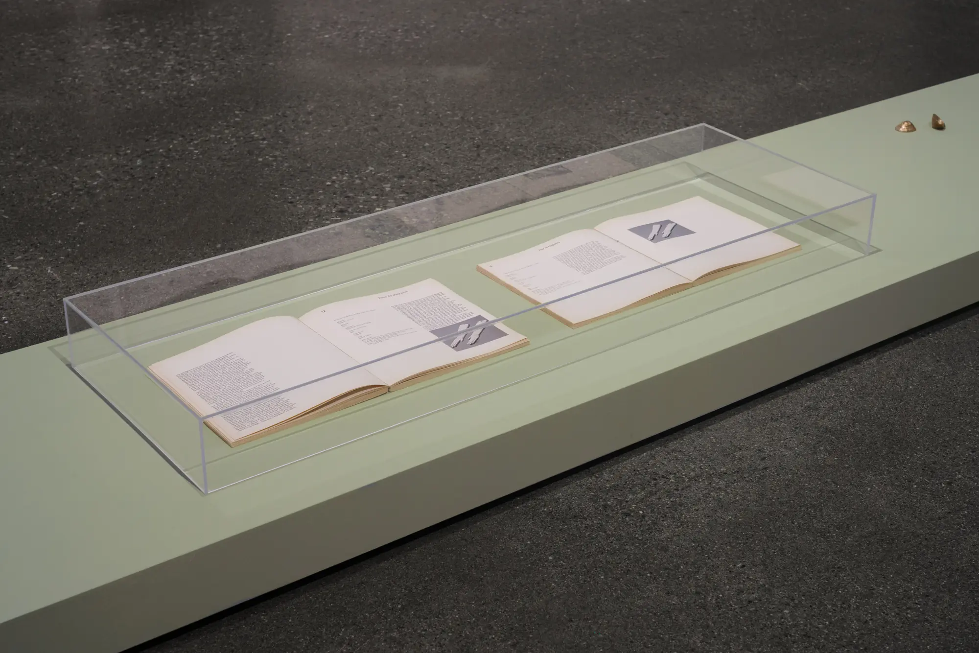 Marginalia, 2023. Vue de l’exposition Galerie d’art Foreman, Lennoxville, automne 2023 / exhibition view, Foreman Art Gallery, Lennoxville. Documentation : William Sabourin